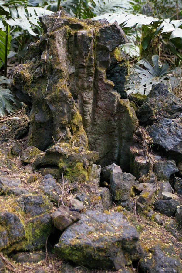 Lava Tree State Park
