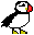puffin